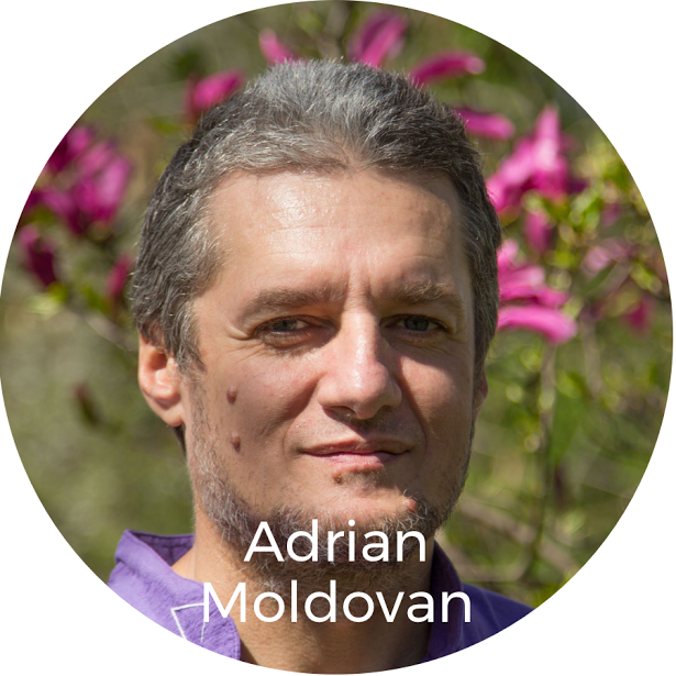 Adrian L. Moldovan
