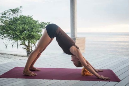 Adho Mukha Svanasana