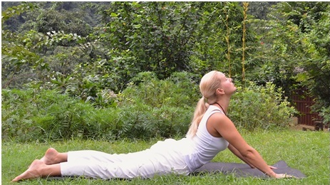 Bhujangasana