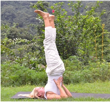 Sarvangasana