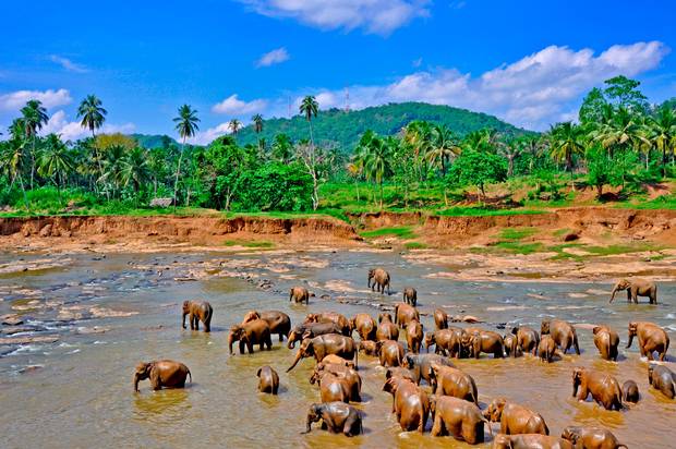 sri lanka