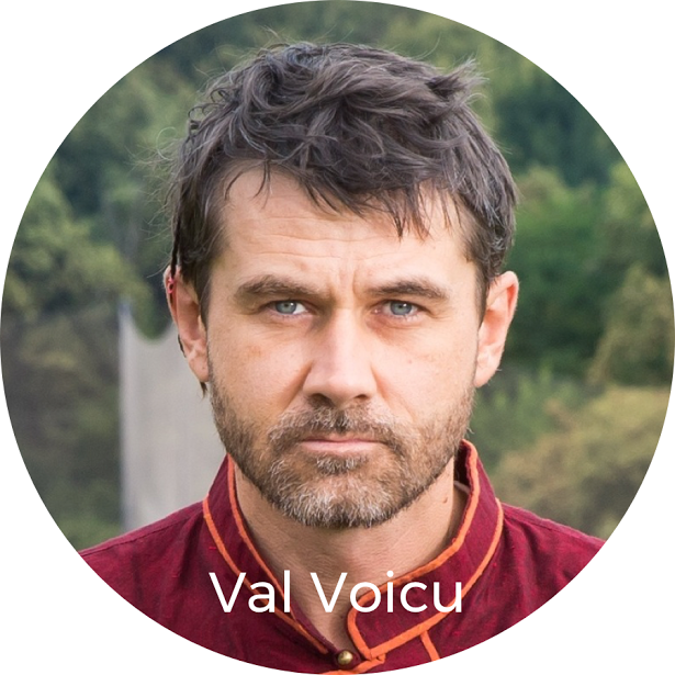 Val Voicu