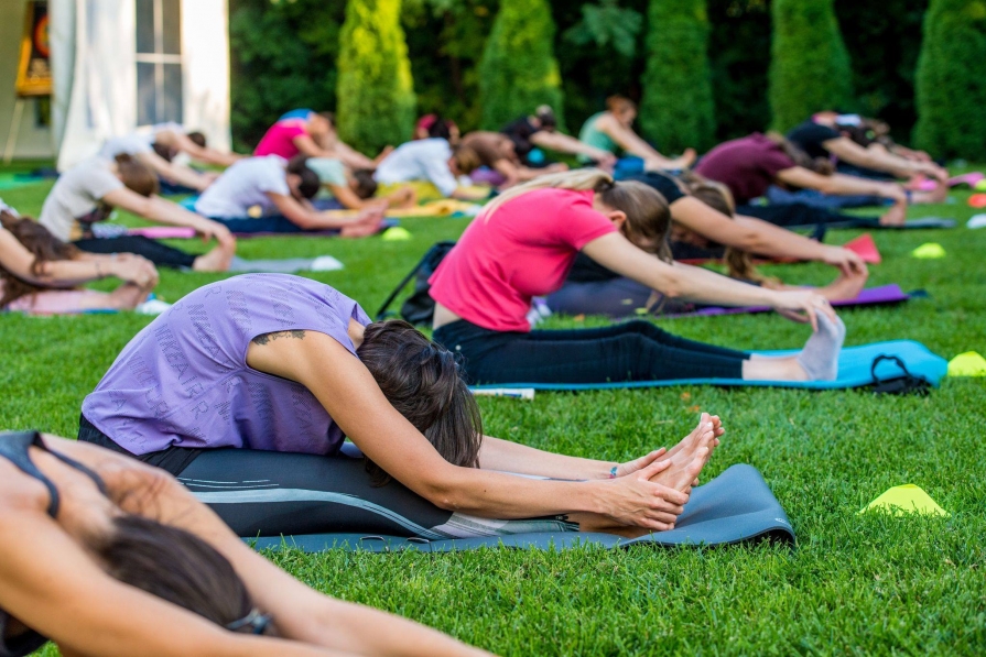 Școala-Hatha-Yoga-SEVA