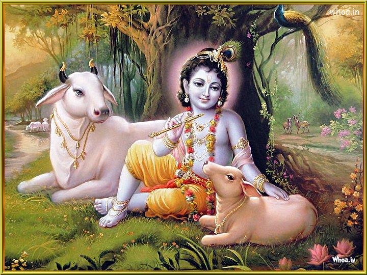 lord-krishna-mitologie-Gomukhasana