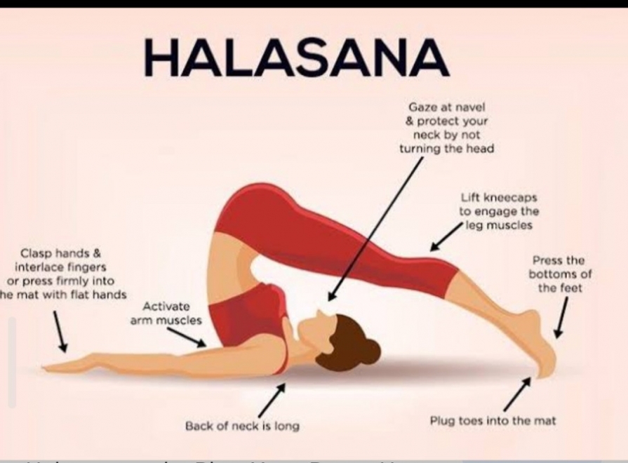 desen-executie-halasana