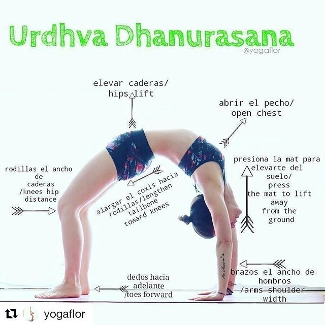 executie-chakrasana