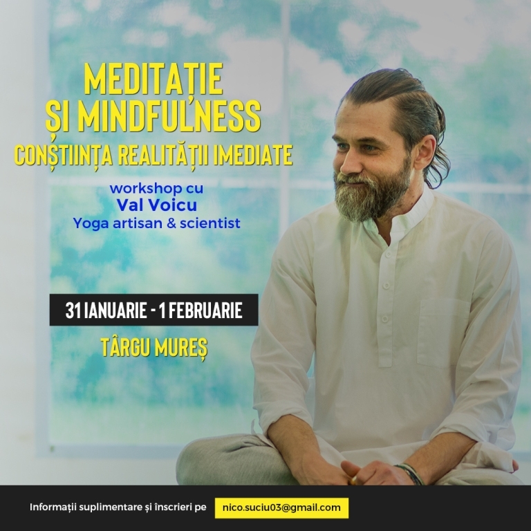 Constiinta realitatii imediate Constiinta realitatii imediate
