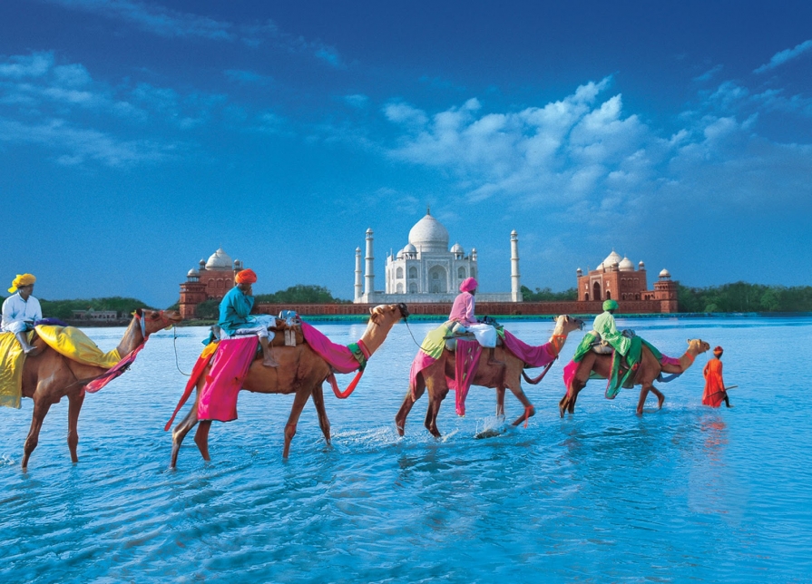 INDIA TRIP by Hatha Yoga SEVA INDIA TRIP by Hatha Yoga SEVA
