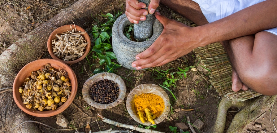 10 plante ayurvedice pe care orice medic ar trebui sa le recomande 10 plante ayurvedice pe care orice medic ar trebui sa le recomande