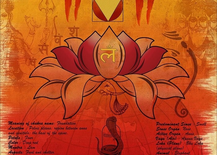 muladhara muladhara