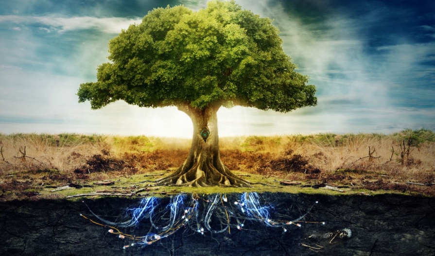 Aventura numita Arborele Vietii Aventura numita Arborele Vietii