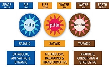 dosha Cele 3 Dosha (tipologii constituționale) dominante.