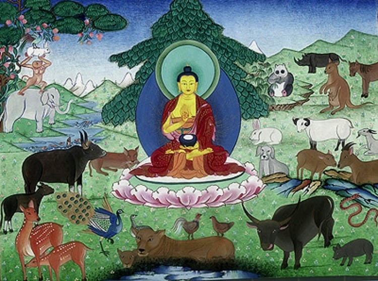 Consumul de carne – permis sau nu de Buddha? Consumul de carne – permis sau nu de Buddha?
