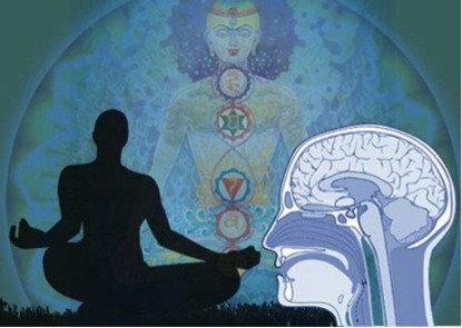 Cum funcționează yoga, potrivit neuroștiințelor Cum funcționează yoga, potrivit neuroștiințelor