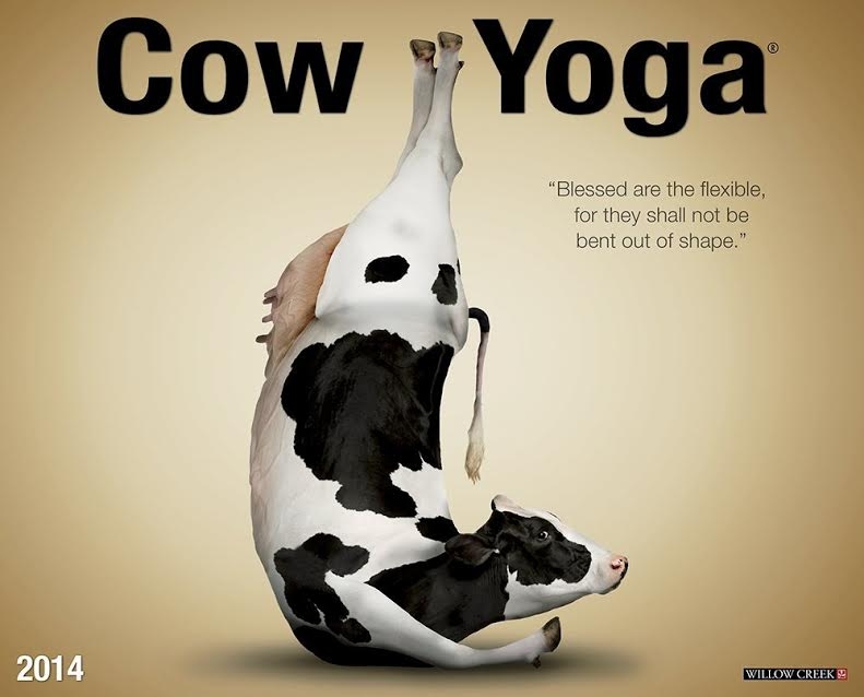 Cum să NU faci yoga: De la yoga rave până la yoga cabalină Cum să NU faci yoga: De la yoga rave până la yoga cabalină