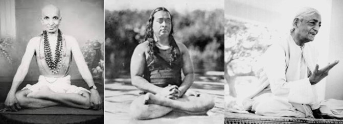 maestri yoga maestrii yoga