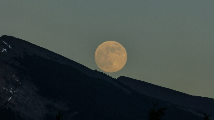 Lună plină în Leu – momentul adevărului luna-plina
