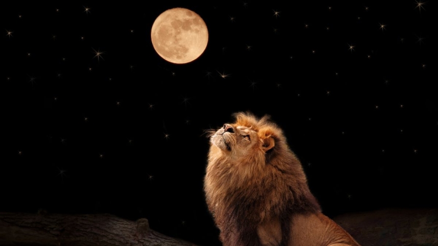 Lună plină în Leu – Redefinirea priorităților luna plina - leu