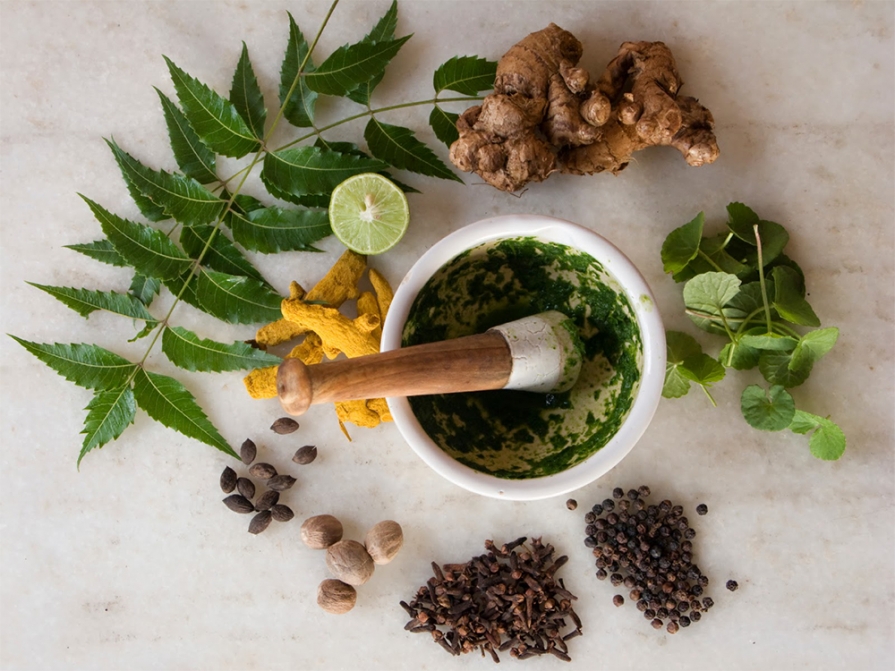 Medicina ayurvedică Medicina ayurvedică