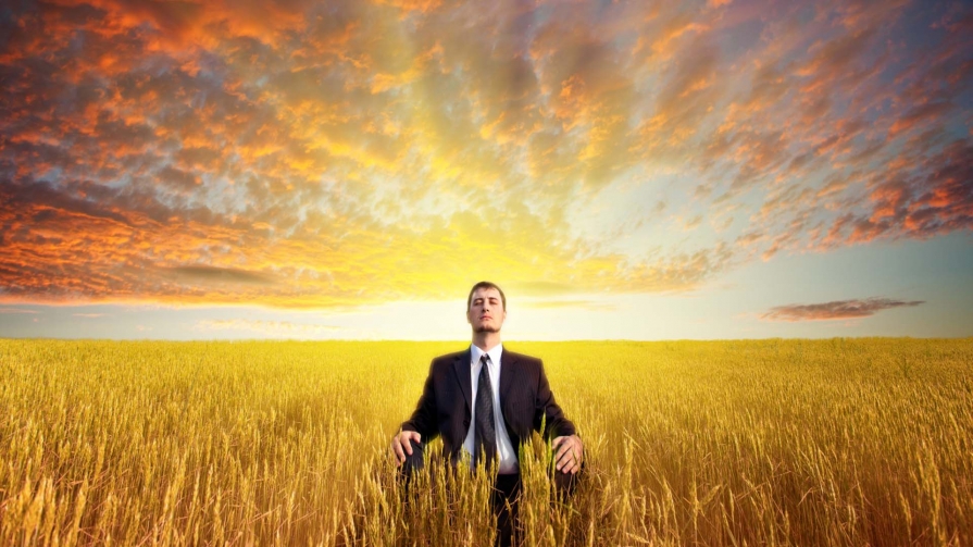 Meditația mărește volumul materiei cenușii Meditația mărește volumul materiei cenușii