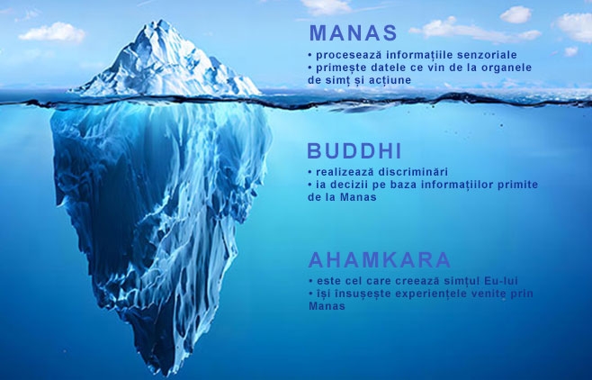 citta mintea yoga iceberg