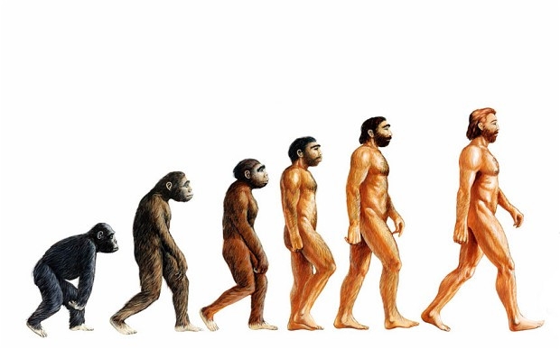 Prima Teorie Evolutionista Mai Veche Cu 600 De Ani Decat A Lui Darwin