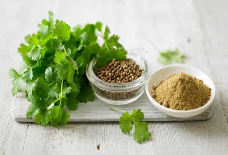 Remedii ayurvedice pentru infectiile de tract urinar Remedii ayurvedice pentru infectiile de tract urinar