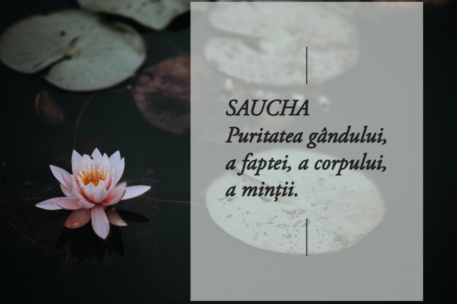 Saucha din punct de vedere al purității corpului nu este altceva decât o modalitate de a putea practica mai ușor Pratyahara, concentrarea mentală neclintită, fără de care nu poți medita. Lotus-puritate