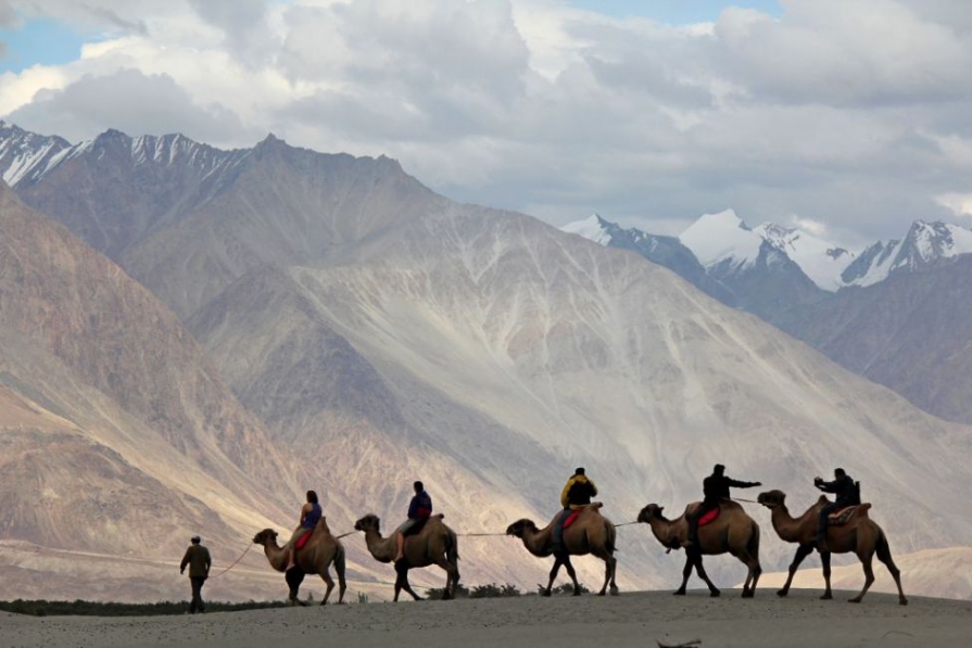 Valea Nubra, locul în care Munții Himalaya întâlnesc deșertul Valea Nubra, locul în care Munții Himalaya întâlnesc deșertul