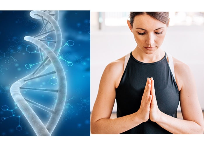 Yoga si meditatia lasa o semnatura moleculara in celulele noastre, la nivel ADN Yoga si meditatia lasa o semnatura moleculara in celulele noastre, la nivel ADN