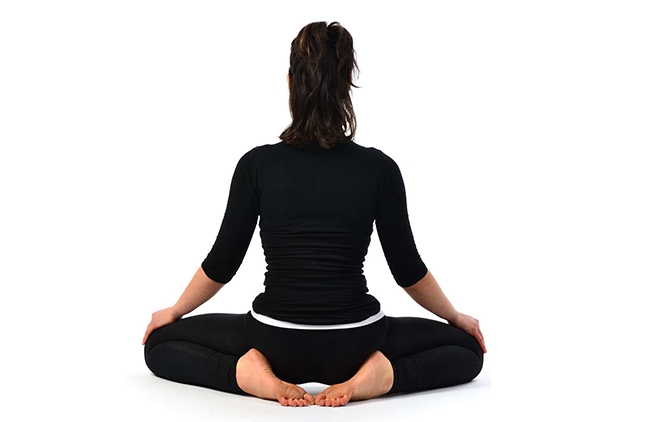 bhadrasana bhadrasana