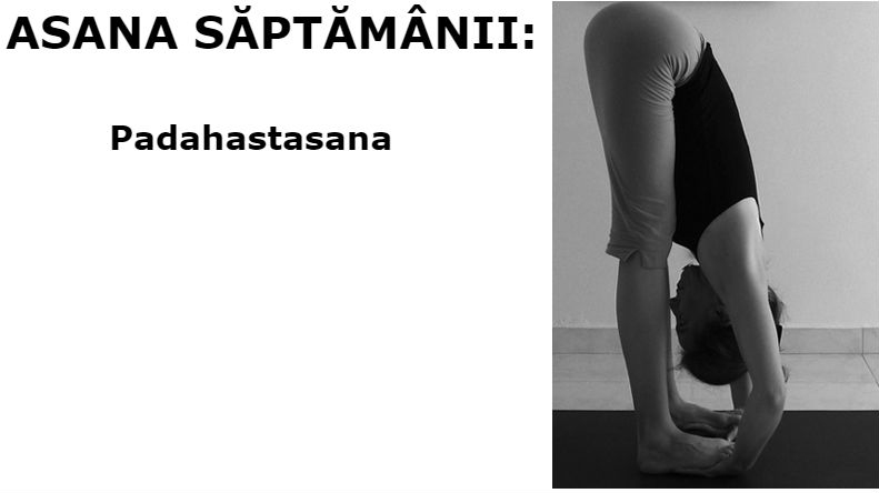Padahastasana Padahastasana