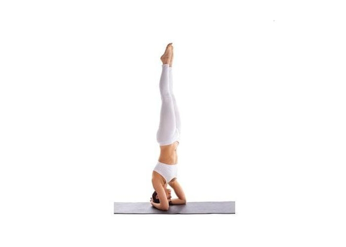 Shirshasana Shirshasana