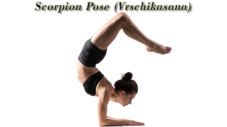 Vrschikasana Vrschikasana
