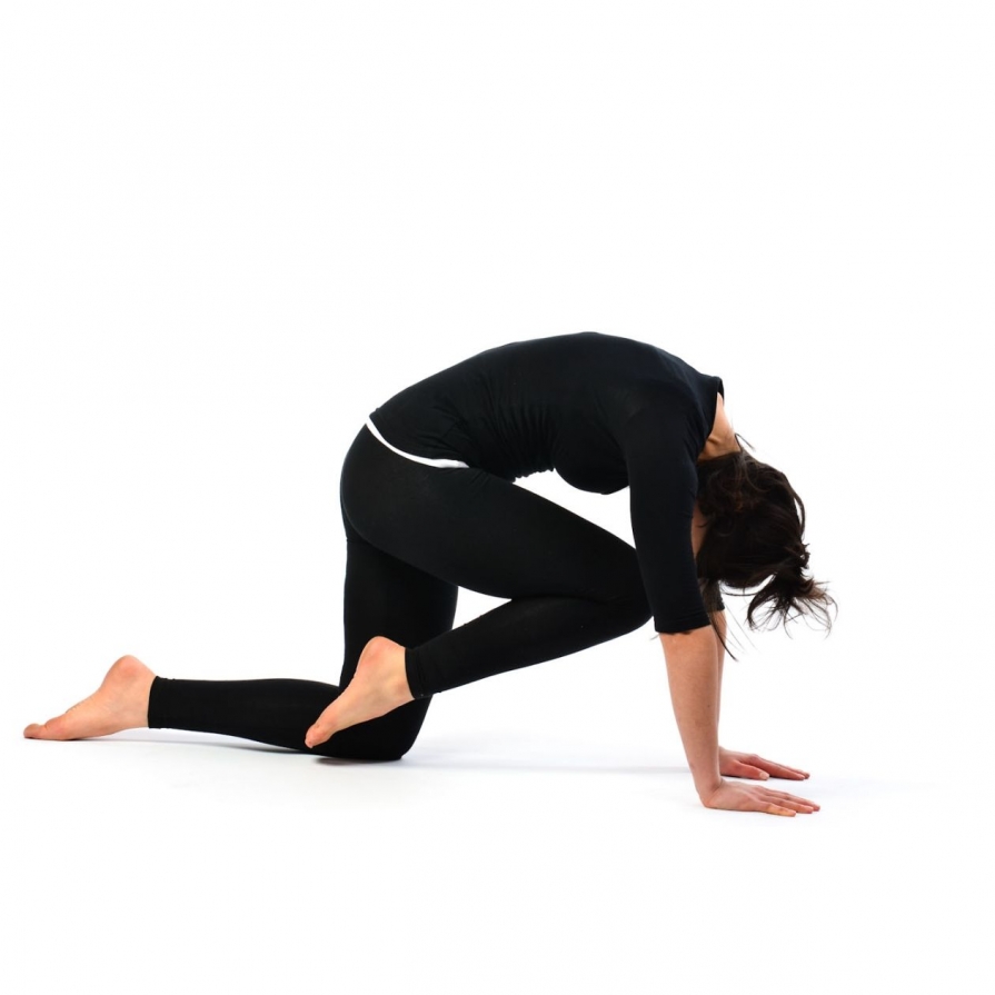 Vyaghrasana Vyaghrasana