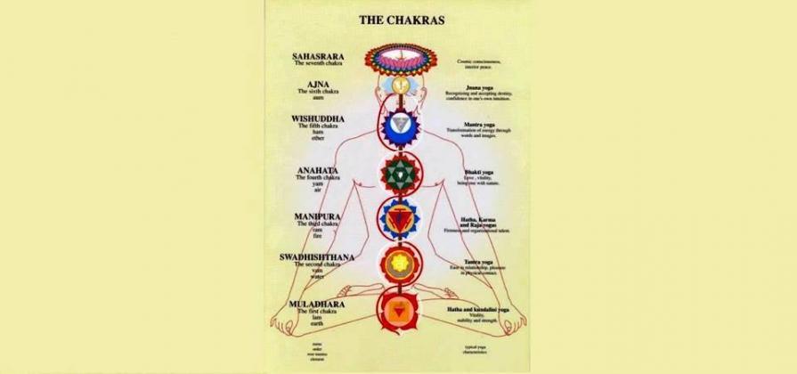 Curs Chakra Sistem – Bucuresti, Aprilie 2019 Curs Chakra Sistem – Bucuresti, Aprilie 2019