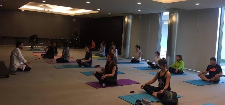 Cursuri Hatha Yoga SEVA Cursuri Hatha Yoga SEVA