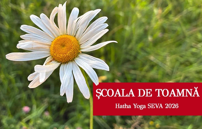 scoala de toamna mediu Para Puja