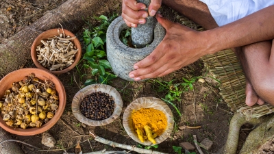 10 plante ayurvedice pe care orice medic ar trebui sa le recomande