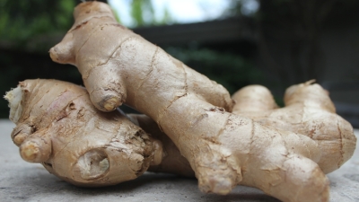 3 plante benefice pe timp de toamna