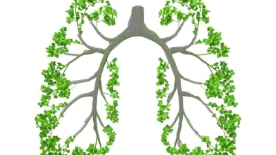 5 asane pentru plămâni sănătoşi