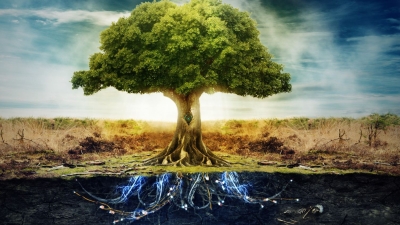 Aventura numita Arborele Vietii