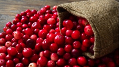 Beneficiile nutriționale ale merișoarelor