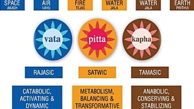 Cele 3 Dosha (tipologii constituționale) dominante.