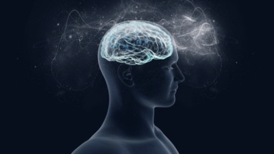 Constiinta este produsul creierului sau invers?