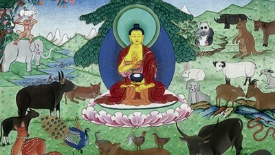 Consumul de carne – permis sau nu de Buddha?