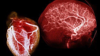 Creierul NU este singurul organ care are NEURONI