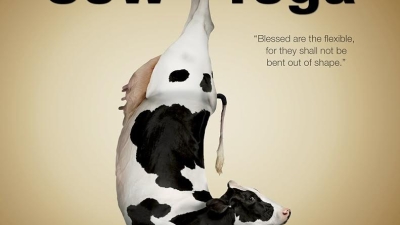 Cum să NU faci yoga: De la yoga rave până la yoga cabalină