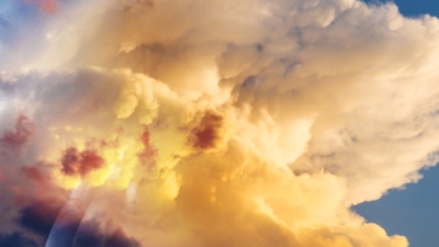 Emotiile negative permit intrarea virusilor si microbilor in organism