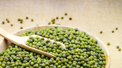 Fasolea Mung, beneficiile sale uimitoare pentru sanatate si reteta de falafel ayurvedic